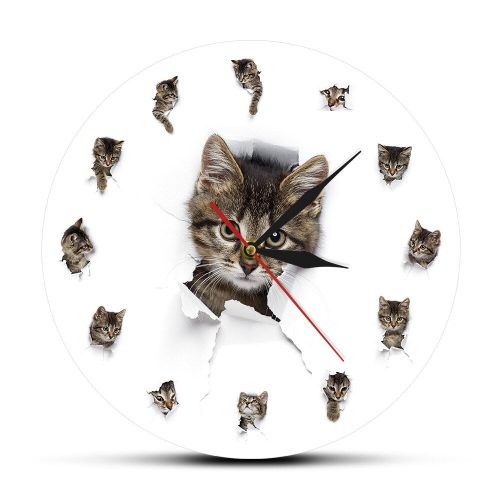 Reloj Gato Gatito
