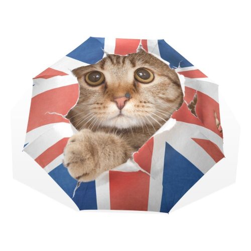 Paraguas Gato Reino Unido