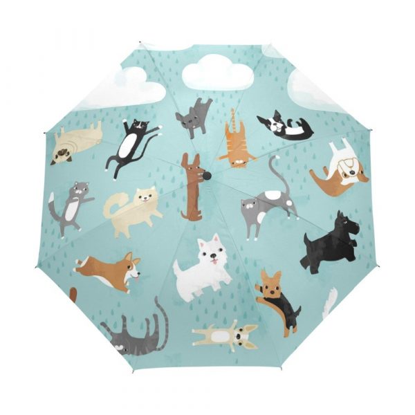 Paraguas Gato Y perros